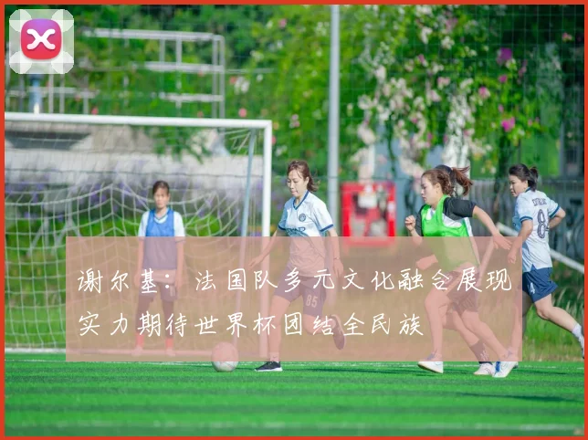谢尔基：法国队多元文化融合展现实力期待世界杯团结全民族