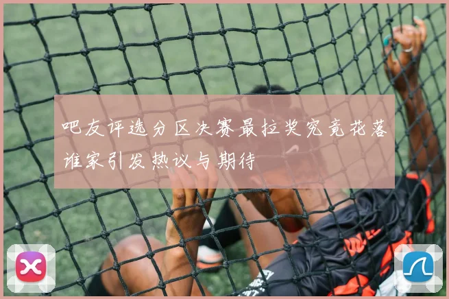吧友评选分区决赛最拉奖究竟花落谁家引发热议与期待