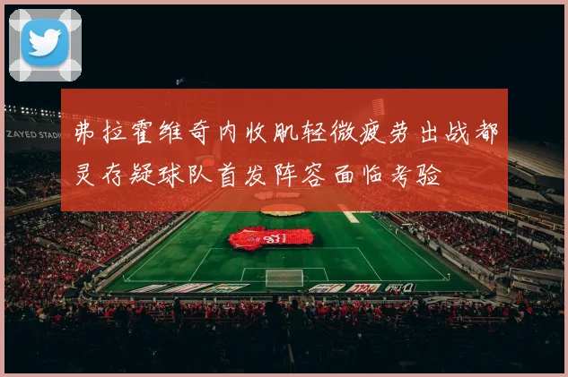 弗拉霍维奇内收肌轻微疲劳出战都灵存疑球队首发阵容面临考验